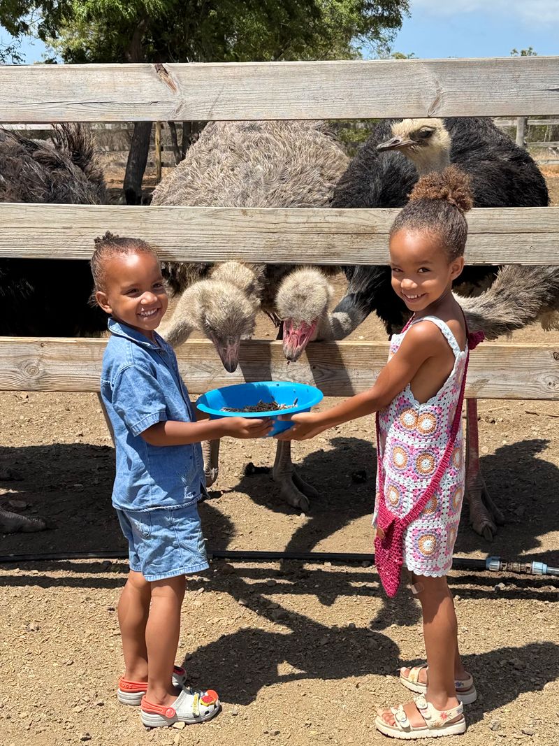 Curaçao Ostrich Farm