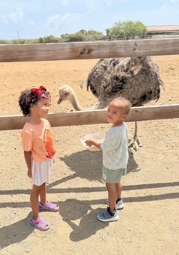 Place based learning